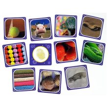 Cortex Kids társasjáték