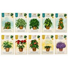 Kaspó társasjáték