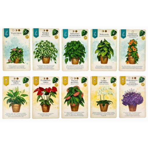 Kaspó társasjáték