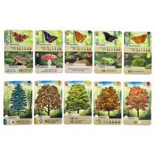 Az erdő társasjáték