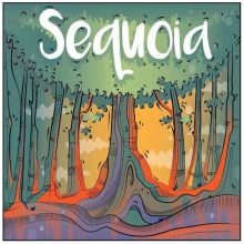 Sequoia (angol nyelvű) társasjáték