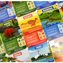 10 kvíz: Ámulatos állatvilág társasjáték