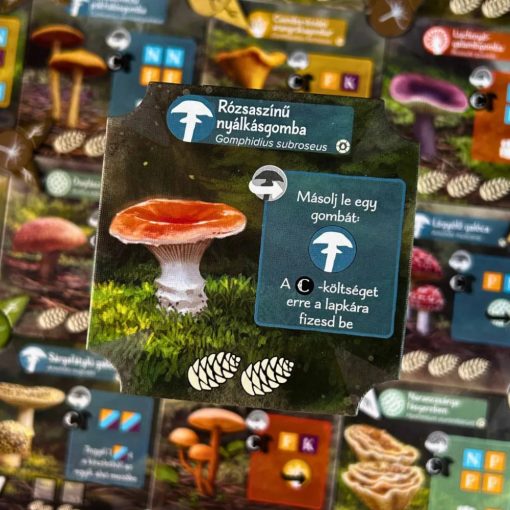 Az erdő mélyén társasjáték