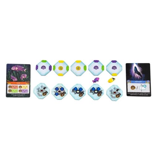 Korallzátony társasjáték